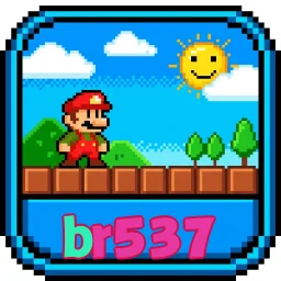 br537